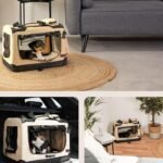 71qLoI0Az4L._AC_SL1500_