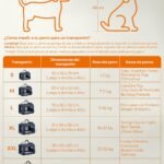 81KOJ1ZnkKL._AC_SL1500_