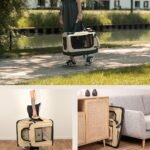 81m5v9pQyBL._AC_SL1500_