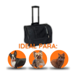 Copia de Copia de Imagen Cabecera