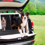 Copia de El transportín HITSLAM es una opción excelente para quienes buscan una solución práctica y confiable para trasladar a sus mascotas en trayectos cortos. Ideal para llevar a tu perro, gato (5)