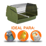 Copia de Imagen Cabecera